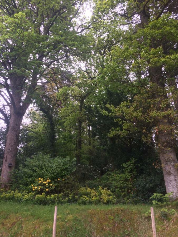 케직 Claremont House Keswick B&B 외부 사진